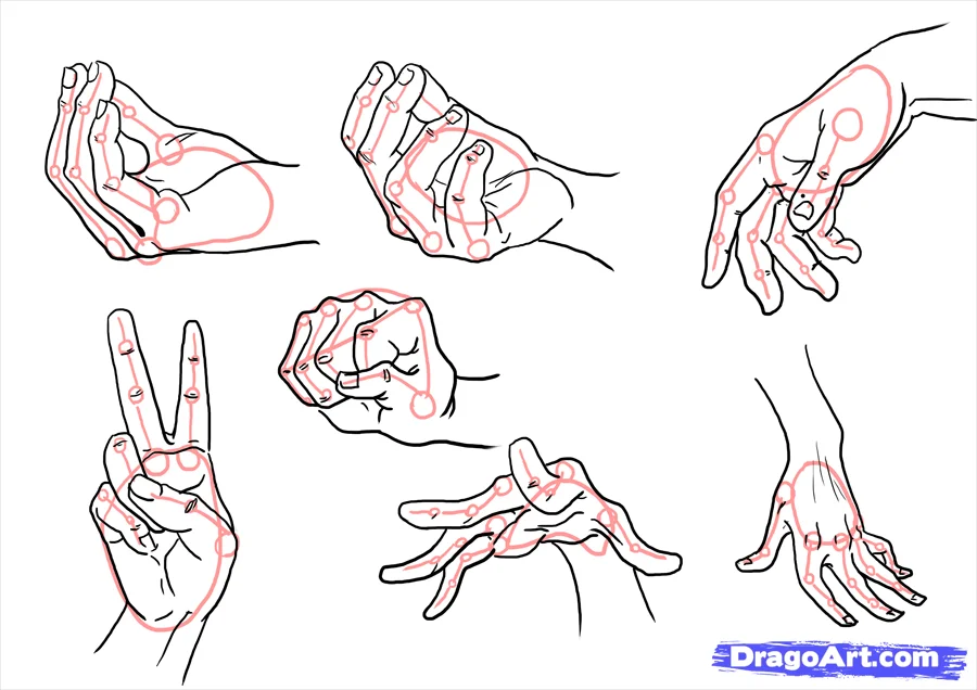 How to Draw Hand Poses Step by Step - AnimeOutline | Peace sign drawing, Easy  hand drawings, How to draw hands