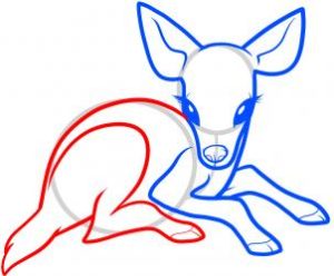 How to Draw a Baby Deer, Easy Tutorial, 6 Steps Tutorial, by Tallinna Teataja