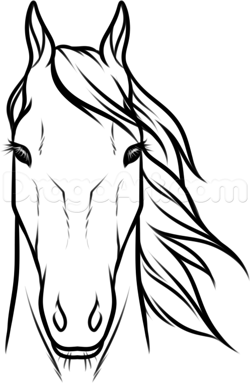 How to Draw a Horses Head