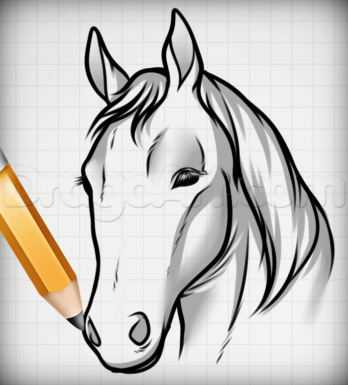 draw horse heads and faces