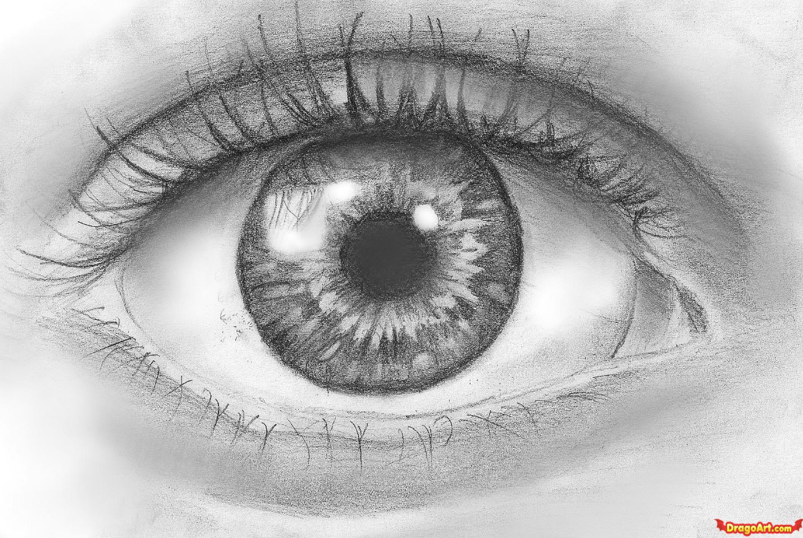 Eye drawijg :- step by step easy eye drawing toturial | beautiful side eye  drawing | By Dilkash jafri artFacebook