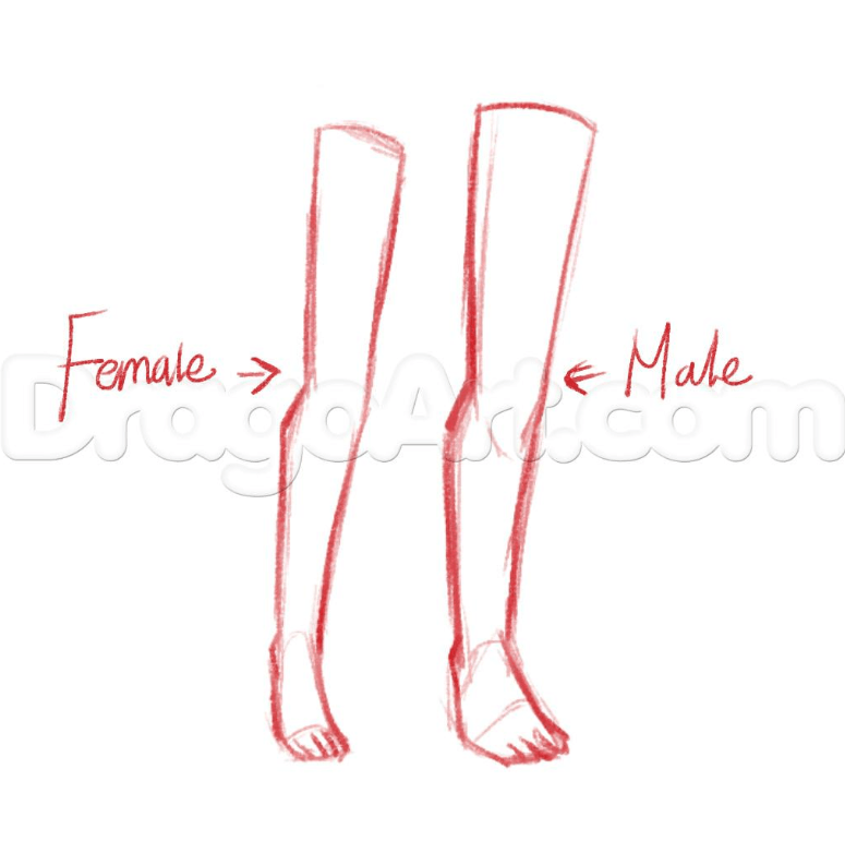 How To Draw Anime Legs, Easy Drawing Tutorial, 16 Steps Toons Mag