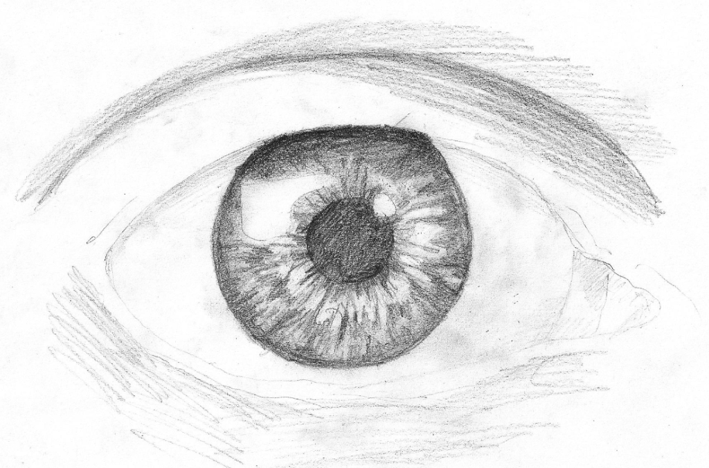 How To Draw An Eye In Pencil Easy Tutorial Toons Mag