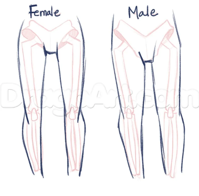 How to Draw Female Legs (Step By Step) 