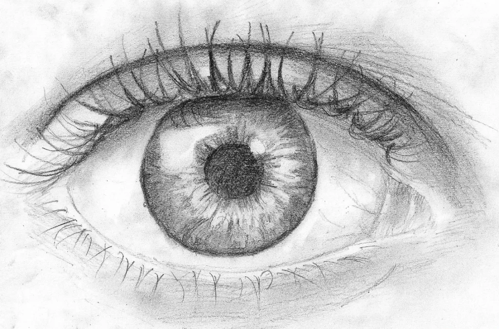 How to draw hyper realistic eyes by pencil | Realistic eye, Realistic eye  drawing, Eye drawing