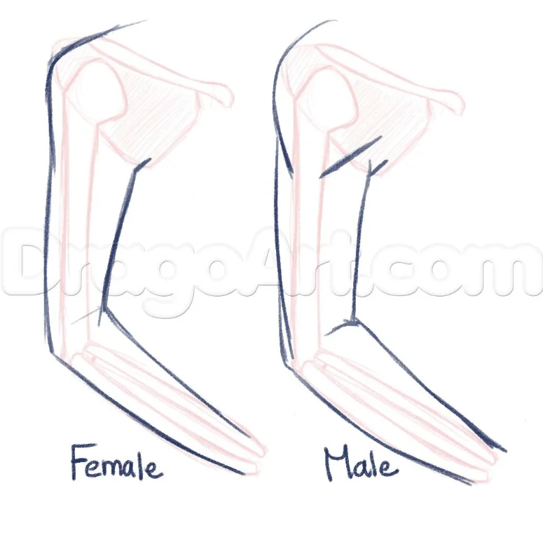 How to Draw an Anime Body with Pictures  wikiHow