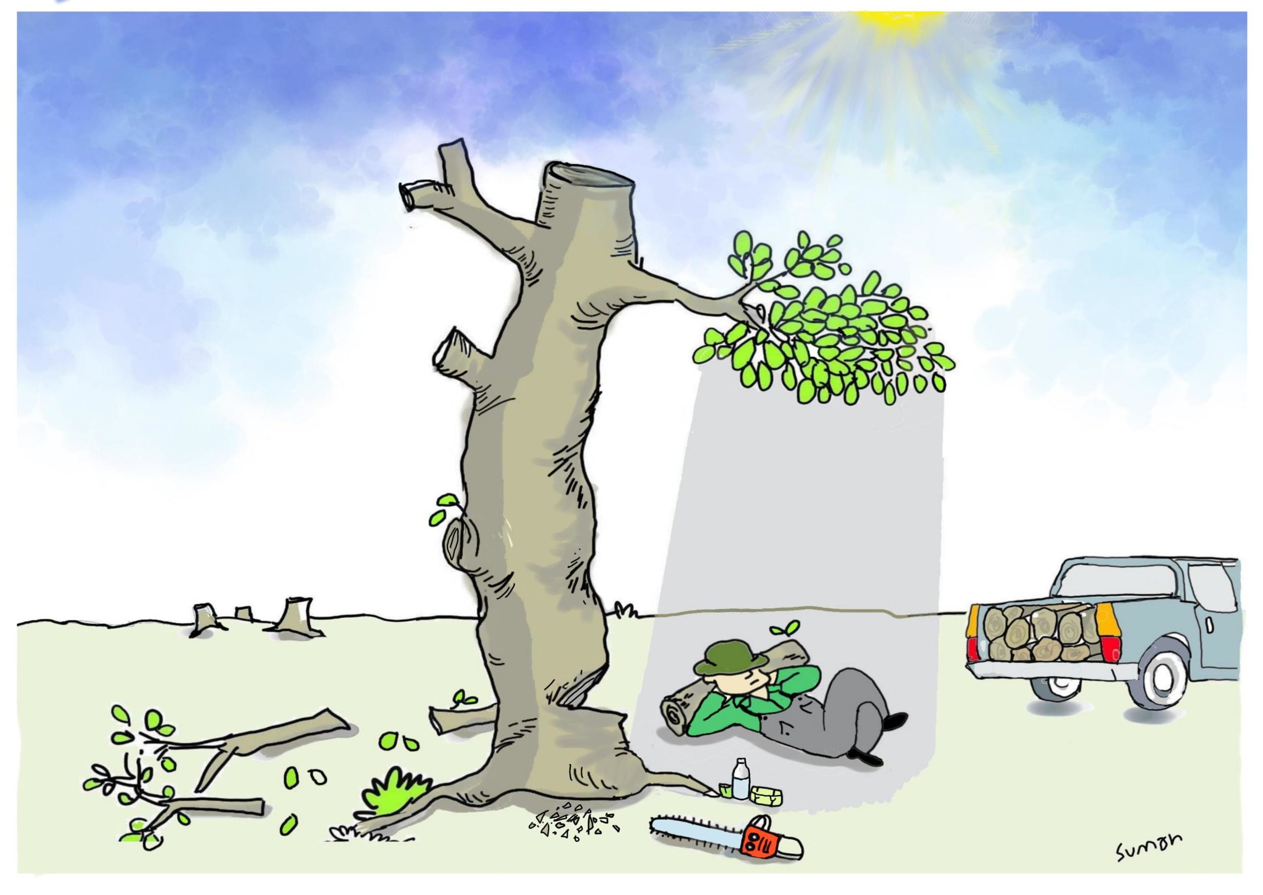 Deforestation - Toons Mag