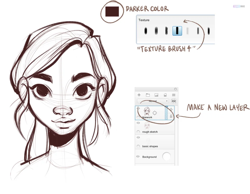 How to draw faces step by step  Anatomy of a Sketch