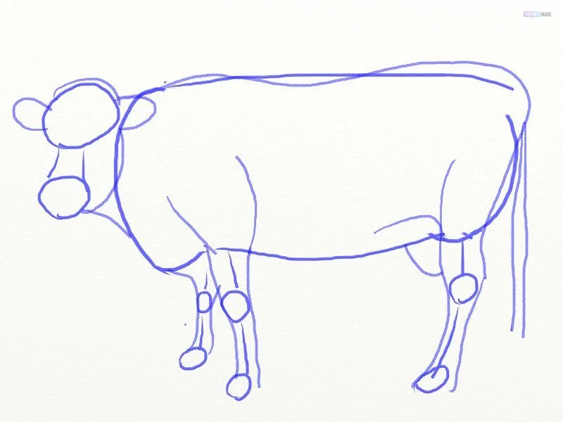 How to draw a cute Cow with 09 simple steps - EASY TO DRAW EVERYTHING
