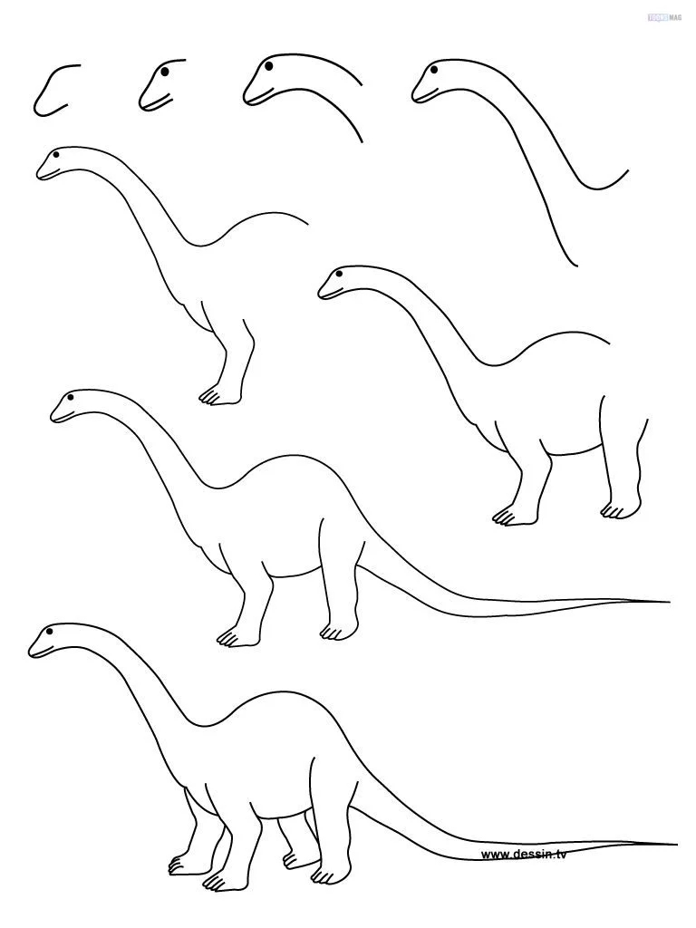 How to Draw a Raptor  Easy Drawing Tutorial For Kids