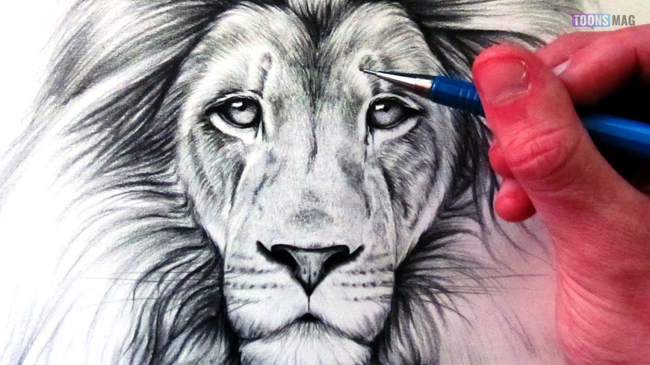 How To Draw A Lion Easy Tutorial Toons Mag