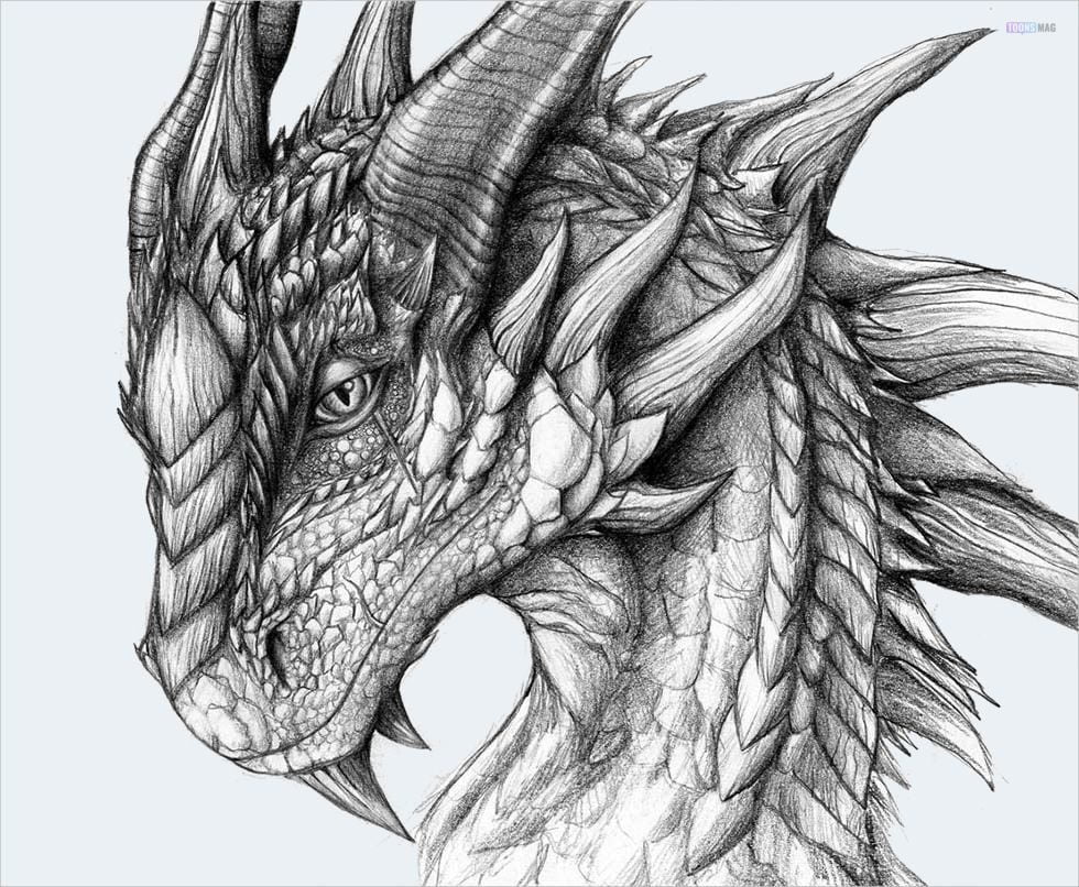 How To Draw A Realistic Dragon Easy Tutorial Toons Mag