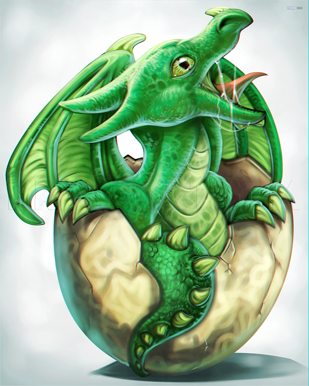 a dragon sketch