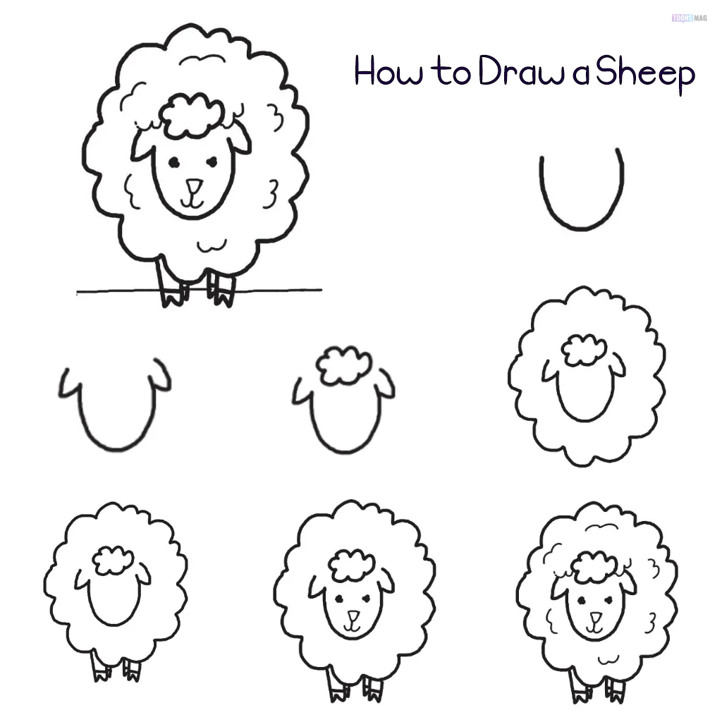 How to Draw a Sheep Easy Step-By-Step - basicdraw.com
