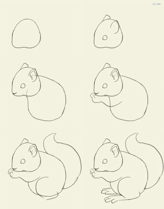 How to Draw a Squirrel  StepbyStep Squirrel Drawing Tutorial
