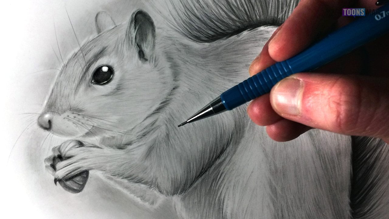 How to Draw a Squirrel - Really Easy Drawing Tutorial