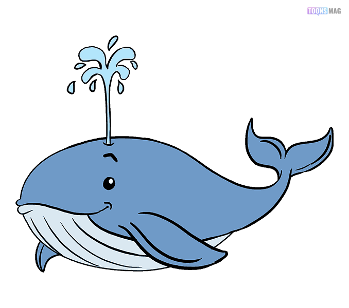 how to draw a whale tail