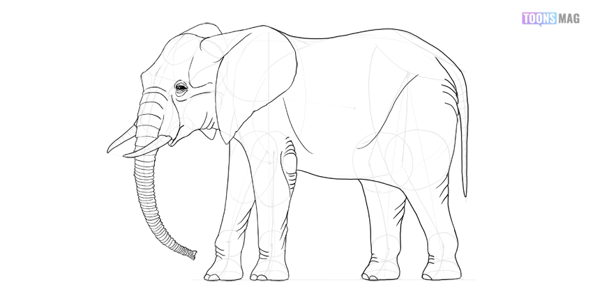 Featured image of post Elephant Drawing Easy Small - If you are missing your art lessons why not learn how to draw this elephant?