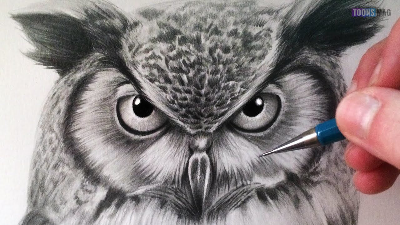 How to Draw an Owl / ( Flying a Bird Drawing ) Easy Drawing Tutorials -  YouTube