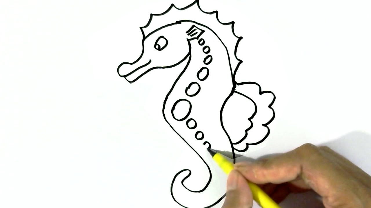 seahorse drawings for kids