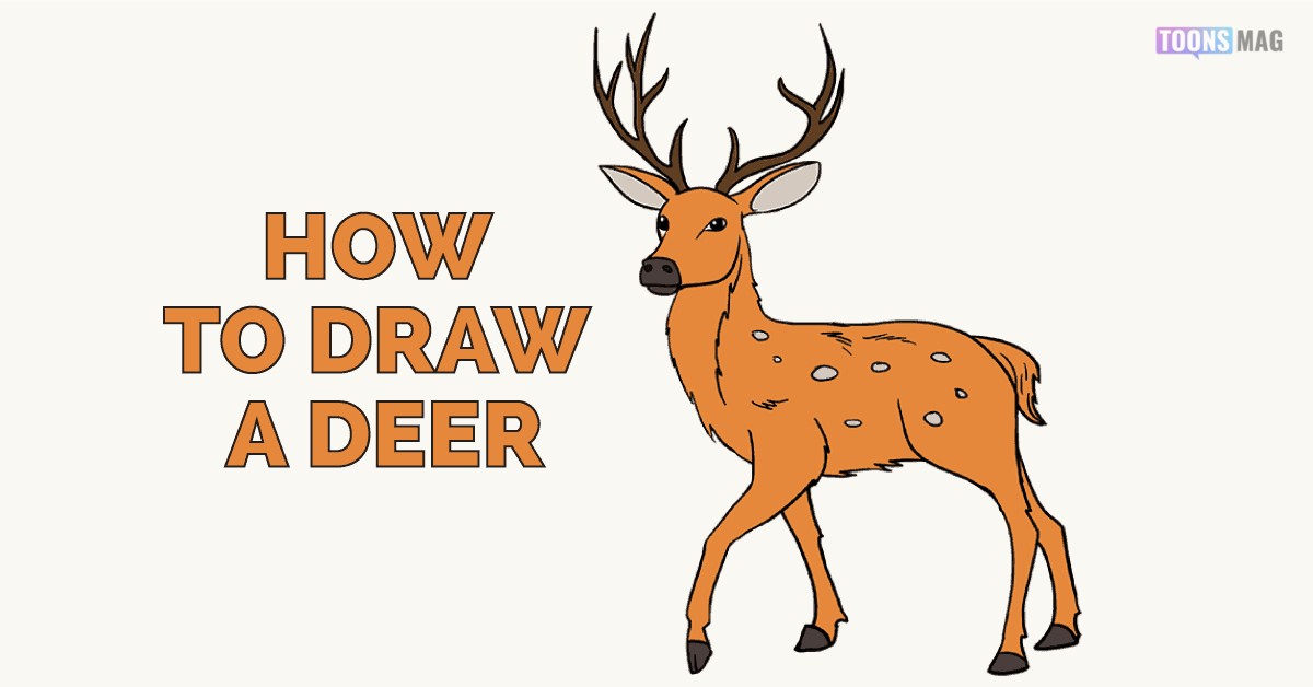How To Draw A Deer, Step by Step, Drawing Guide, by Dawn | dragoart.com |  Deer coloring pages, Deer drawing easy, Deer pictures