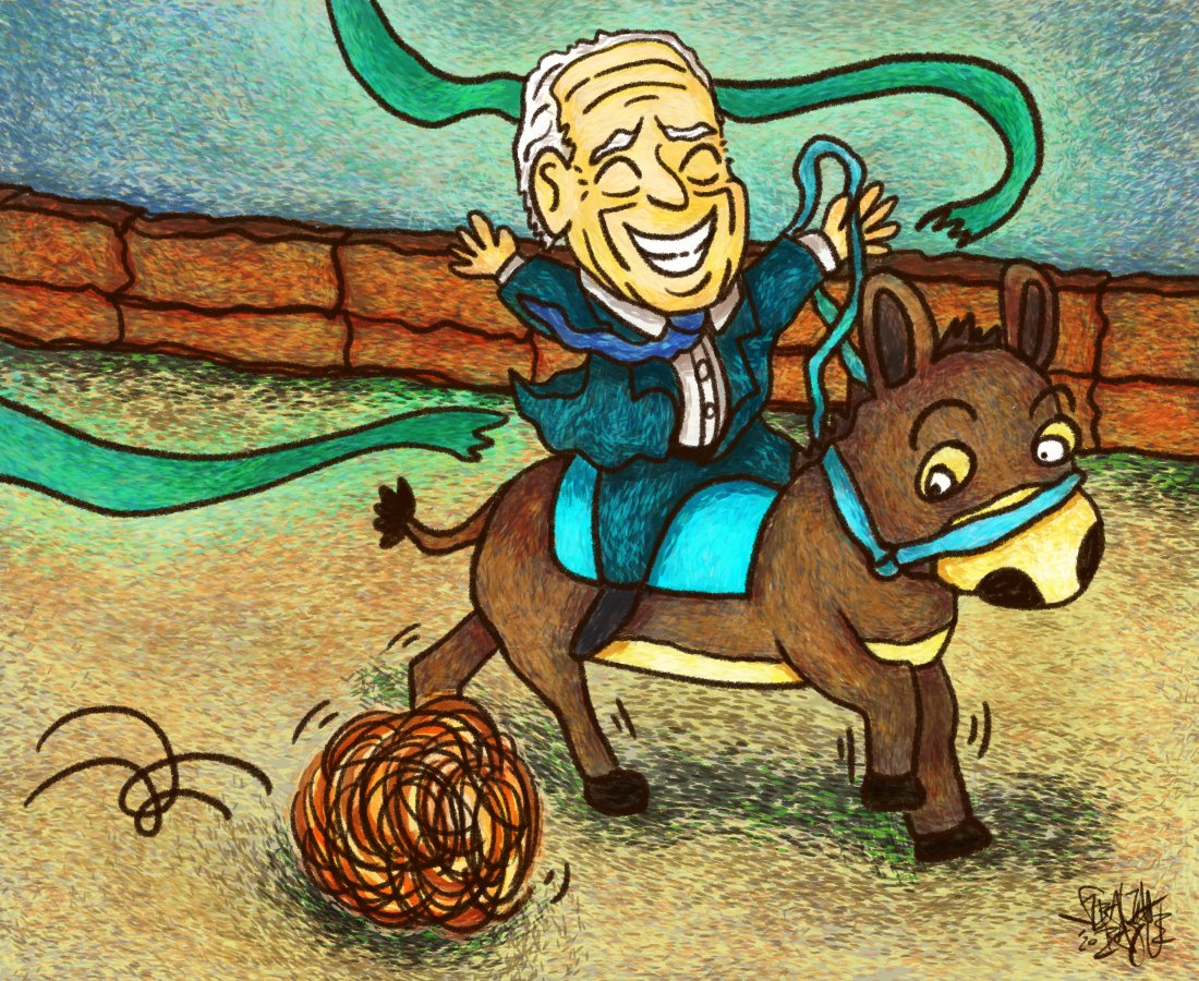 Joe Biden Clinches Democratic Nomination For 2020 Race - Toons Mag