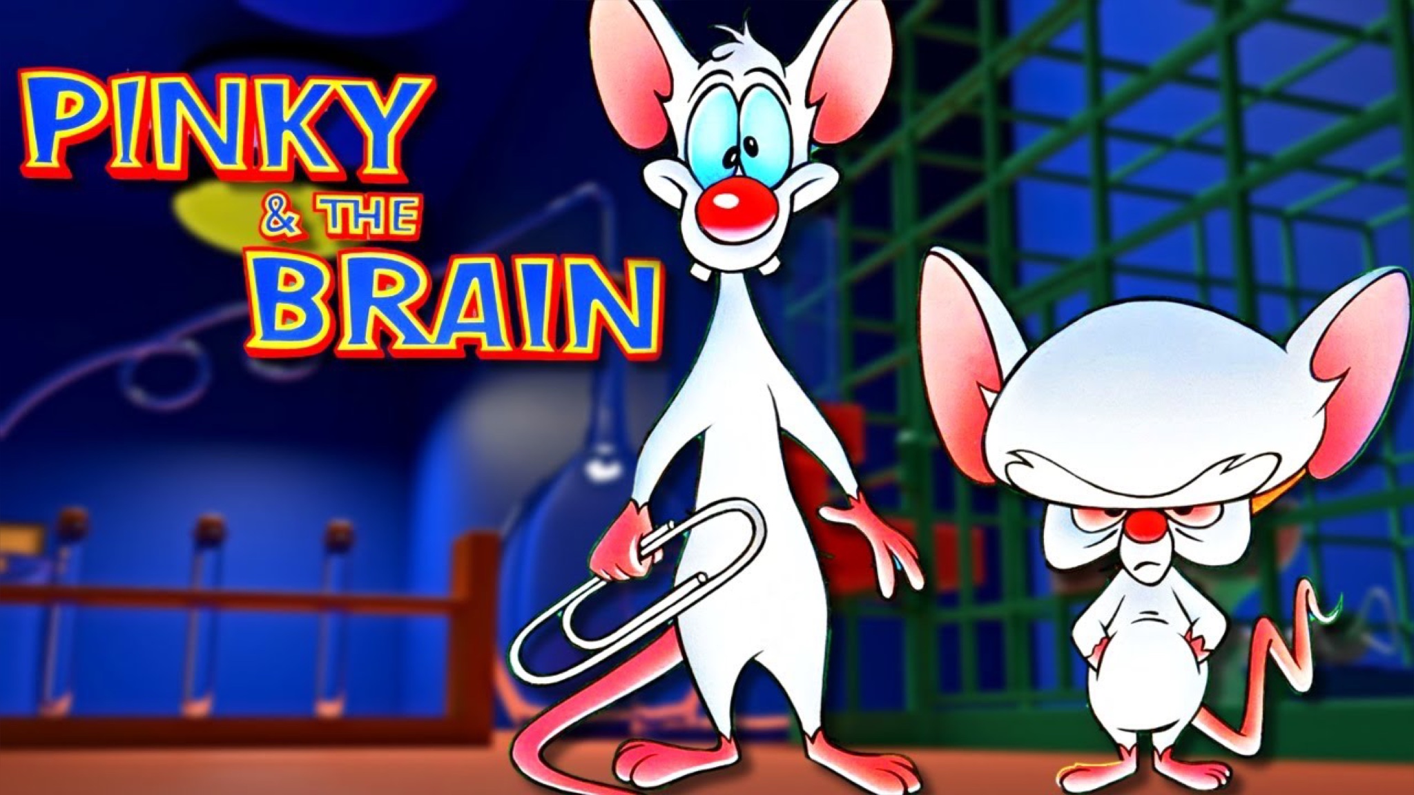 Pinky and the Brain, Look and Find, Animals, Hardcover, Picture