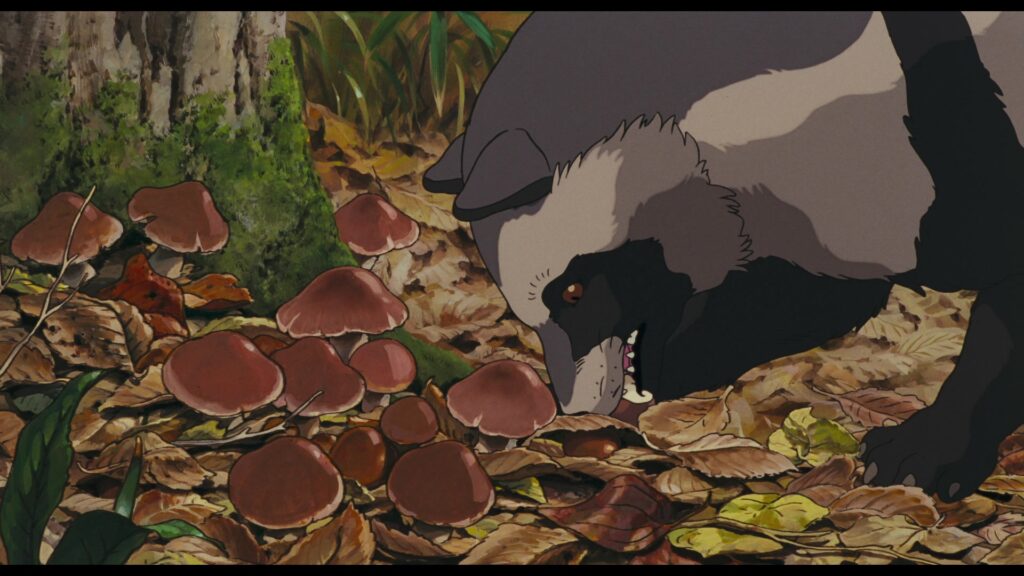 Pom Poko (1994): Unraveling The Mythical Tale Of Tanuki - Toons Mag